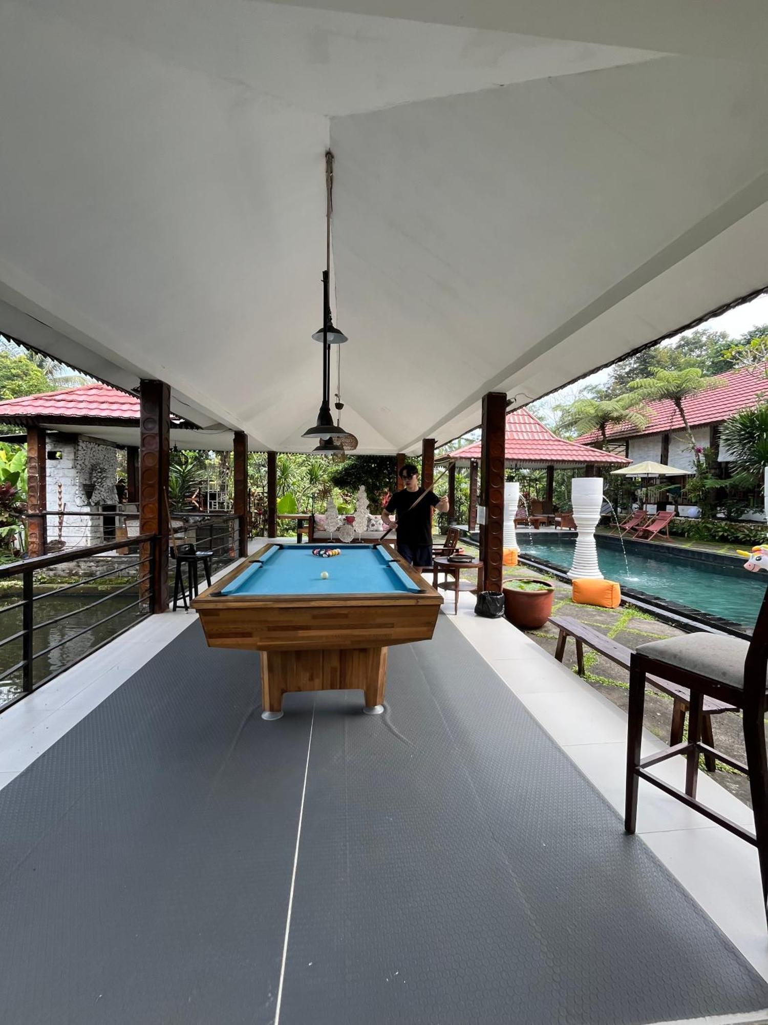 Padi Cangkringan