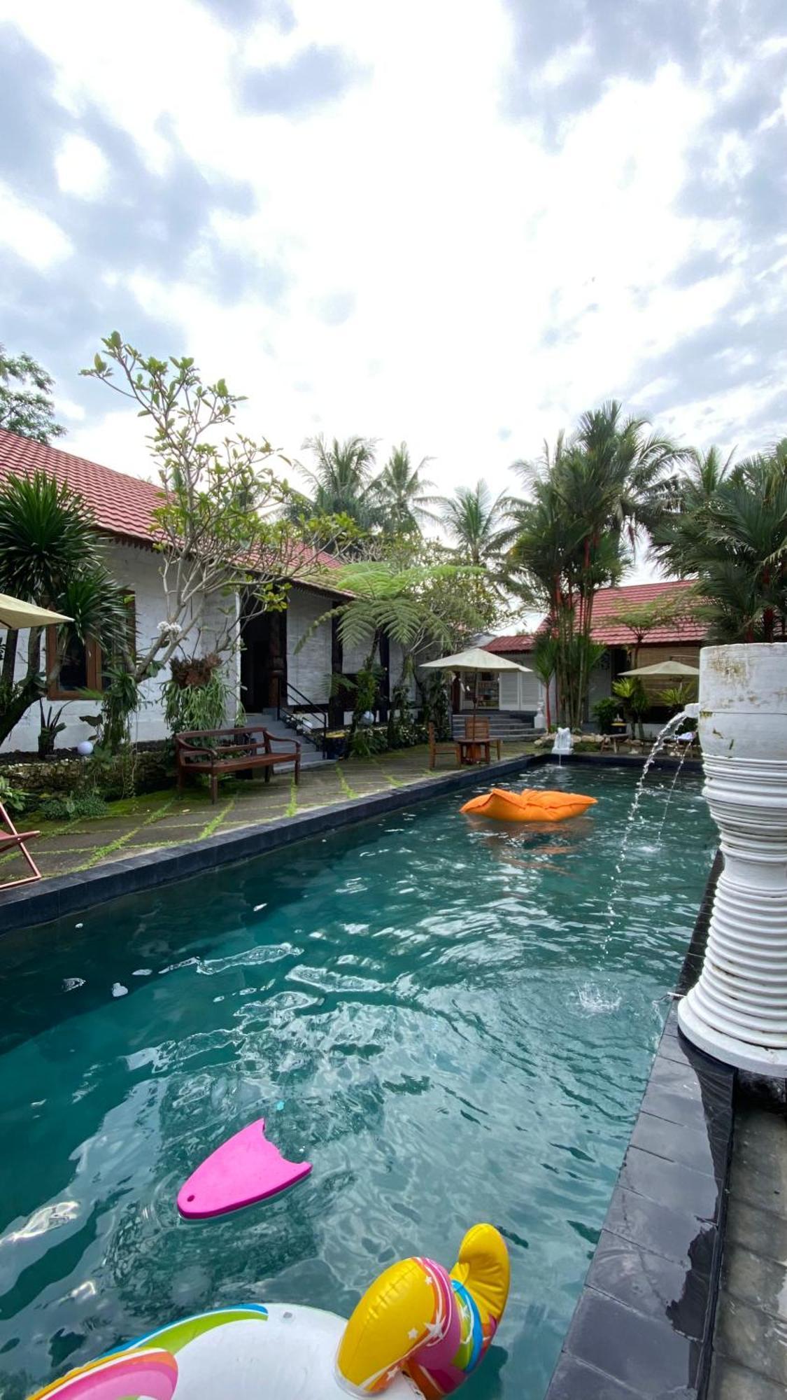 Padi Wisma tamu