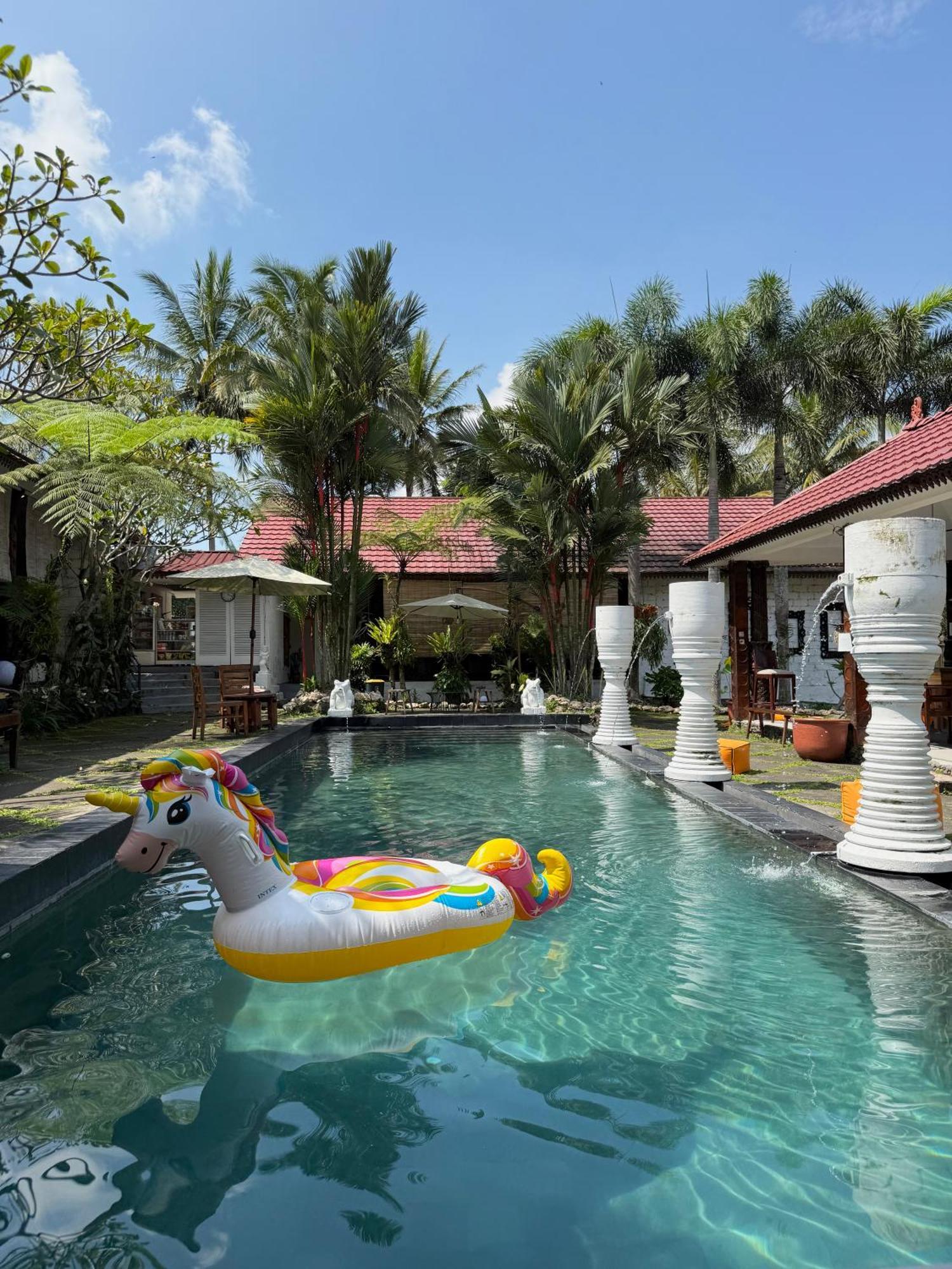 Padi Wisma tamu Cangkringan