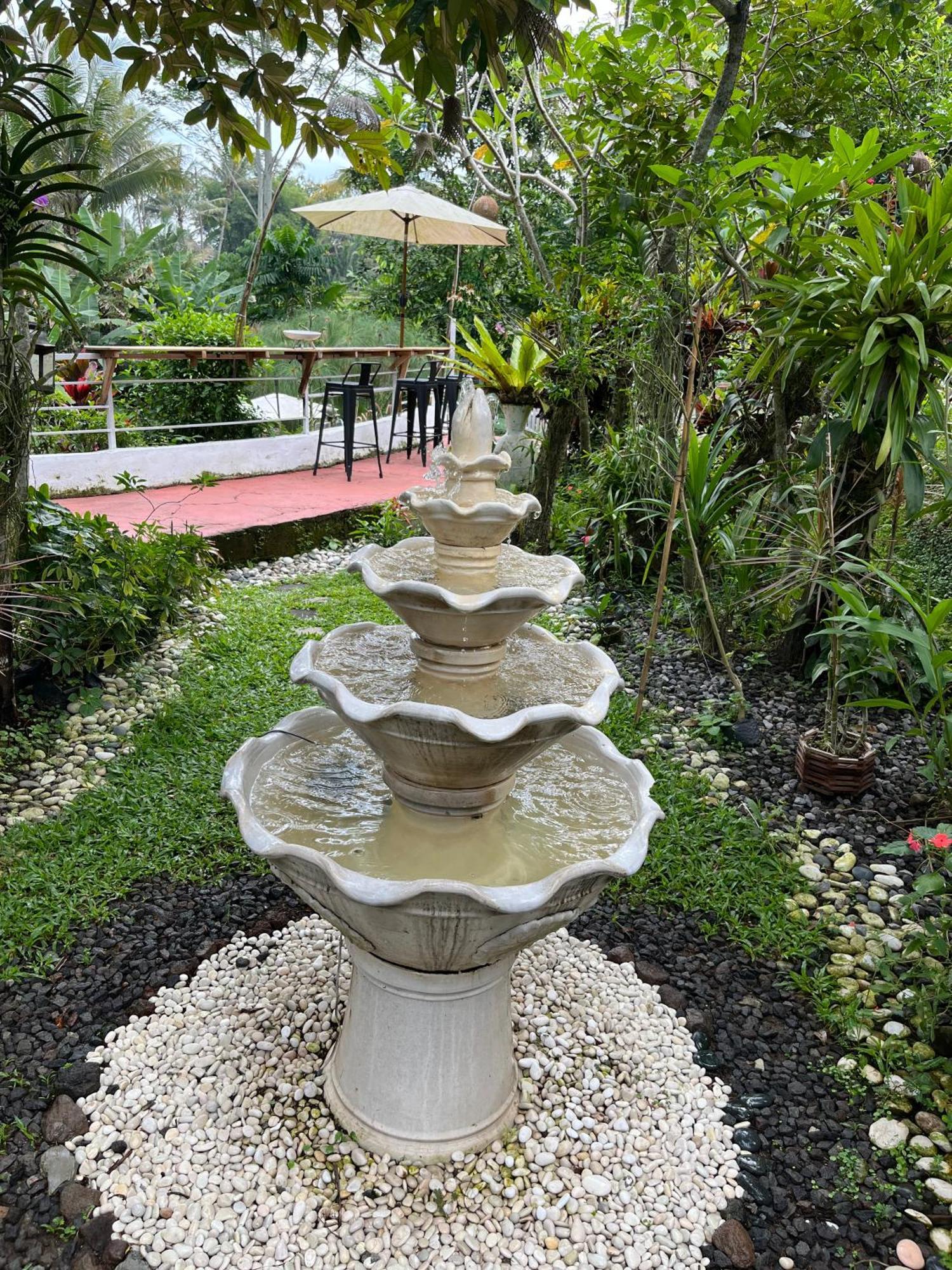 Padi Wisma tamu