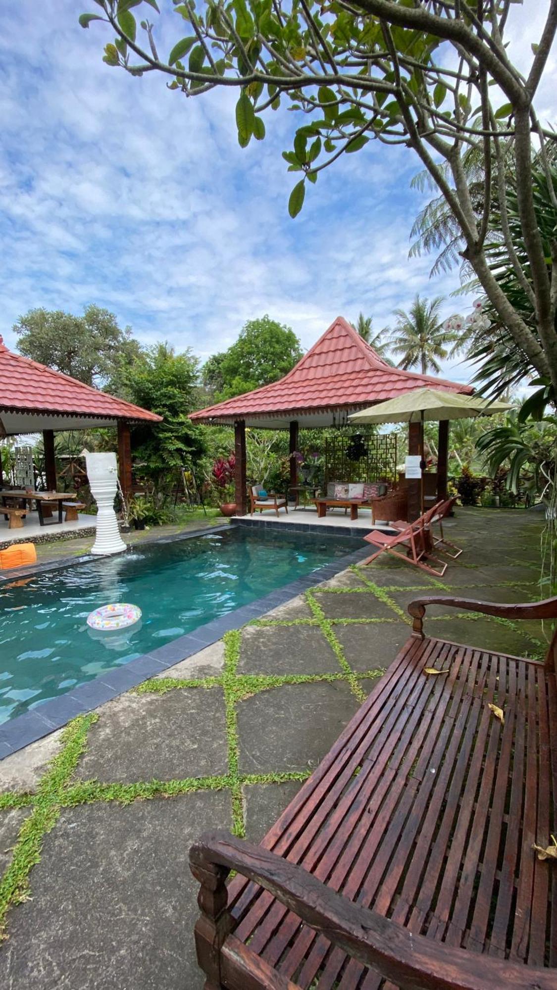Padi Cangkringan