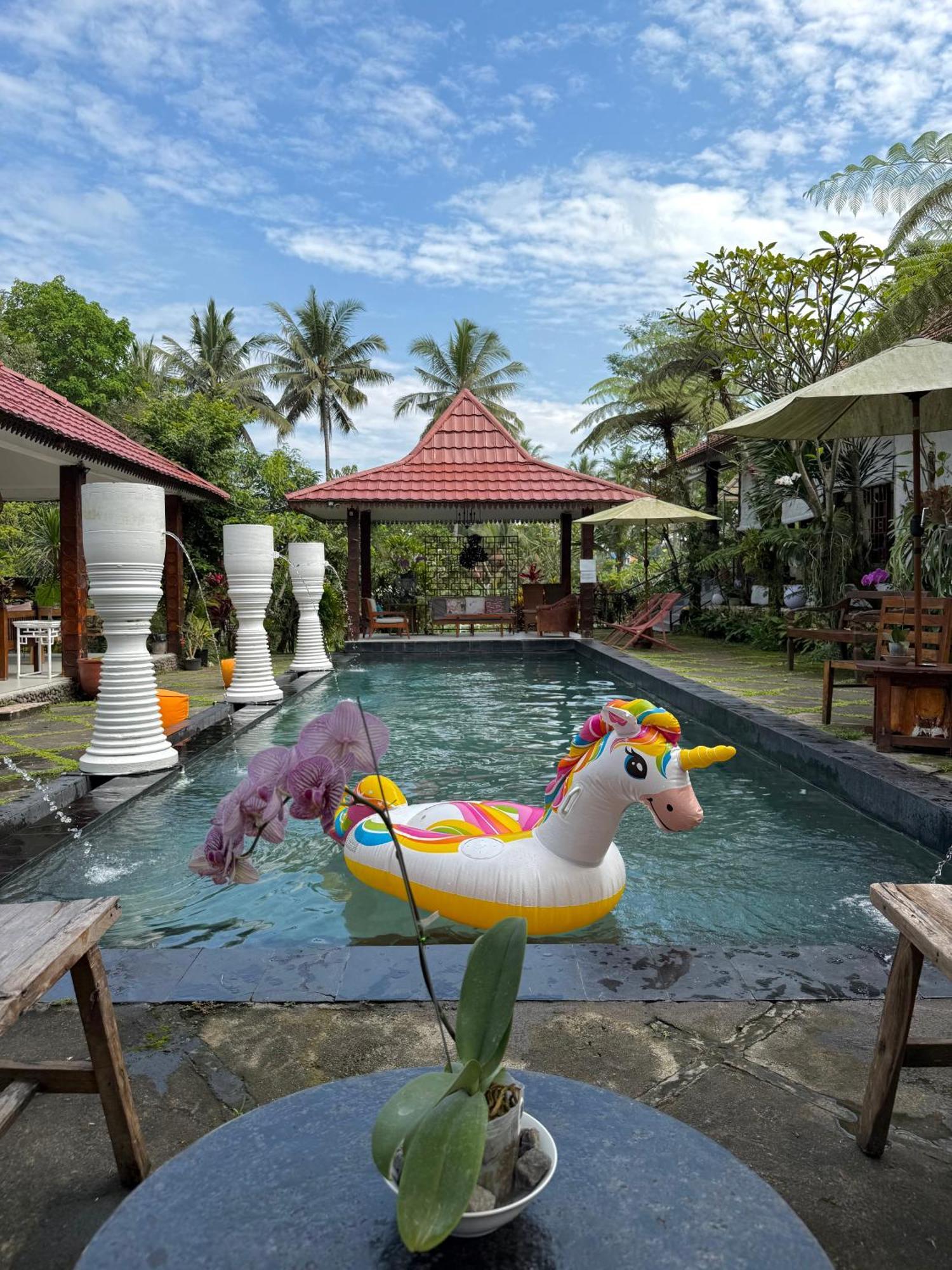 Wisma tamu Padi 3*